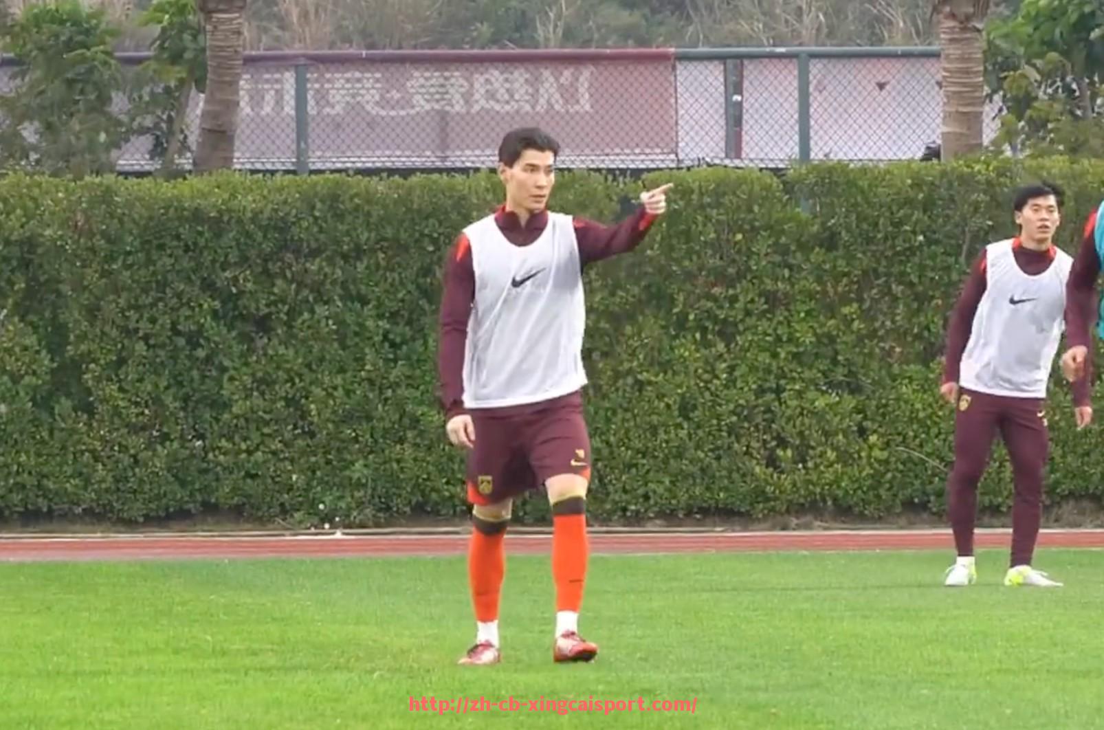 杏彩体育-德甲联赛中的单一球队解析及体育竞技影响