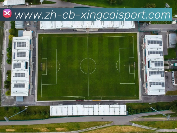 杏彩体育服务体系