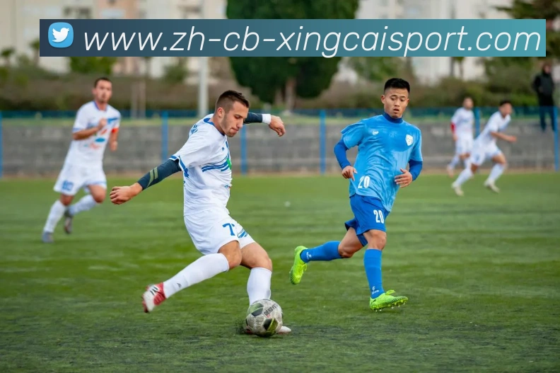 杏彩体育APP 体育赛事宣传图